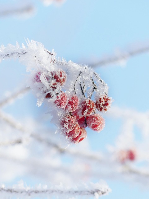 cold