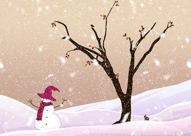Winter Plumbing Tips: Inspect Pipes for Cracks, Prevent Freezing Damage