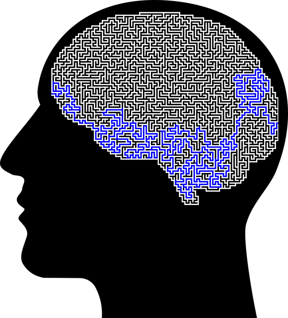 commitment-mental-health-attorney-rights-640x480-5360813.png