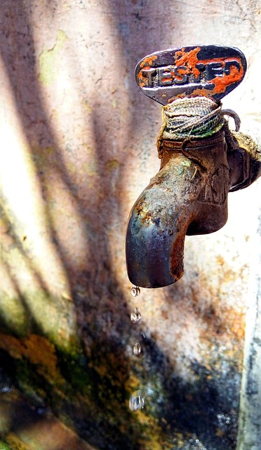 conservation-water-save-efficiency-rainw-640x480-47989274.jpeg