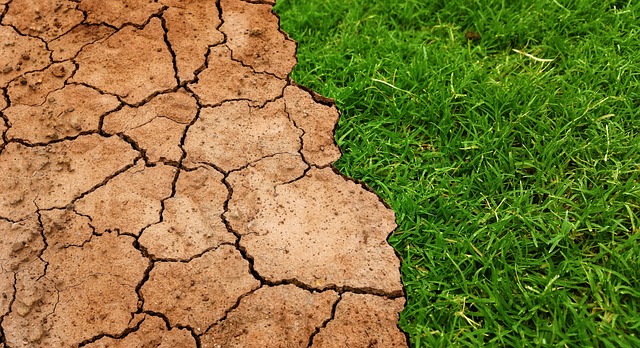conservation-water-save-efficiency-rainw-640x480-91246774.jpeg