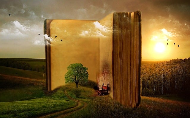 creativity