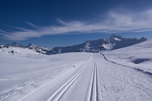 cross-country