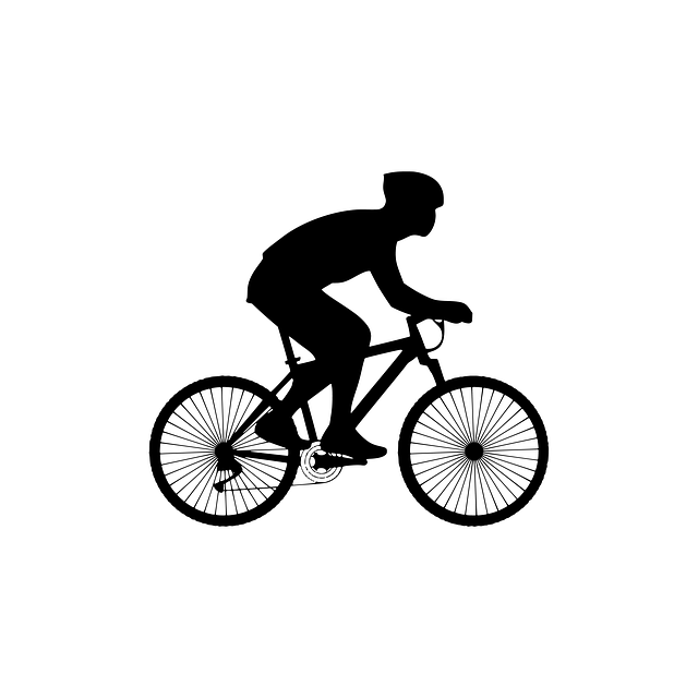 Lane County Biking: Discover Scenic Routes, Local Gems & Plan Your Adventure
