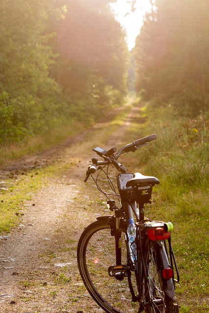 cycling-biking-trails-roads-bike-adventu-640x480-95942167.jpeg