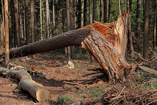 damage