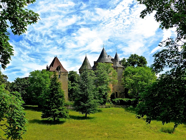 defense