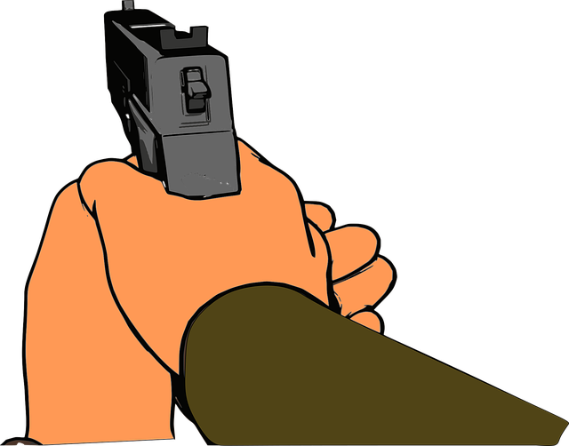 defense
