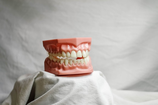 dentistsmilewhite-teeth-640x480-56302823.jpeg