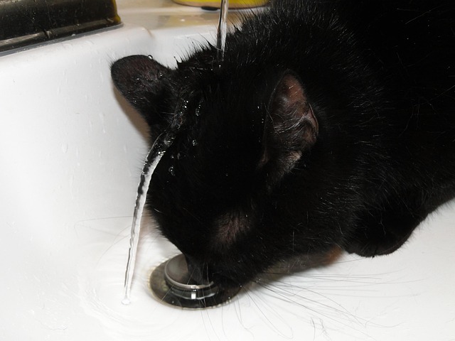 drain