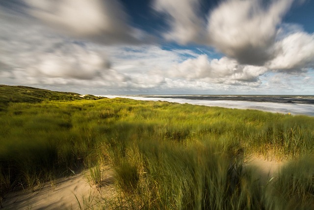dunes