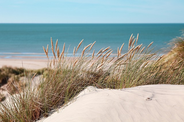 dunes