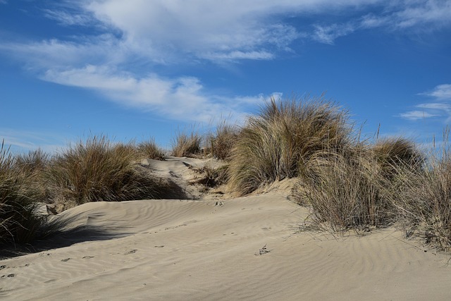 Discovering Oregon Dunes: Sandboarding, Tide Pools, and Coastal Adventures