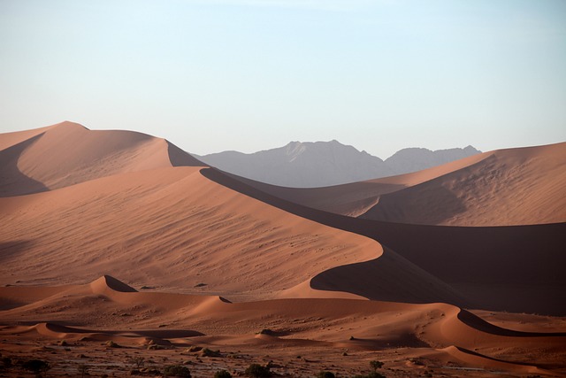 Family Fun on Oregon Dunes: Dune Buggy Adventures & Beyond