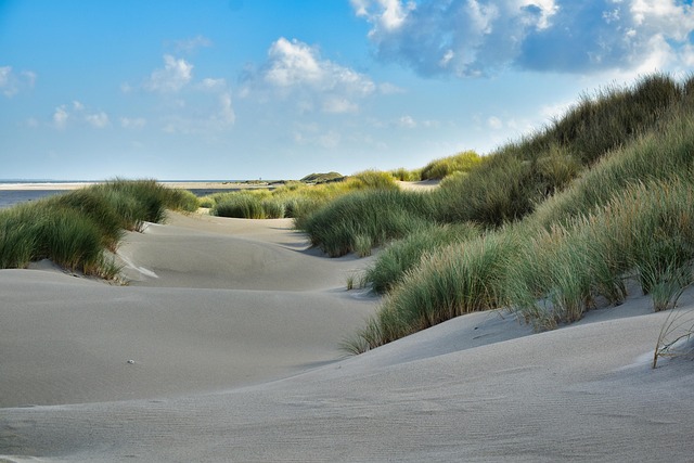 dunes-sandboarding-adventure-landscape-n-640x480-6884184.jpeg