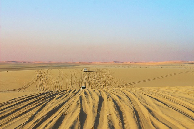 Uncover Earth’s Secrets: Hiking and Learning at Oregon Dunes