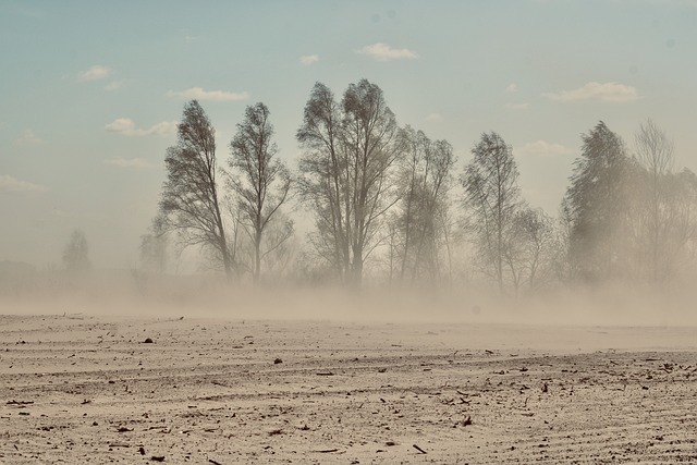 dunes-sandboarding-adventure-landscape-n-640x480-97595276.jpeg