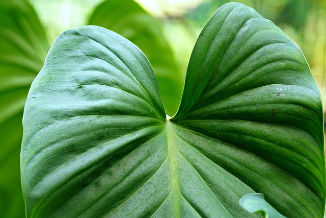Natural Water Filtration with Smart Monitoring: Implementing an Effective System