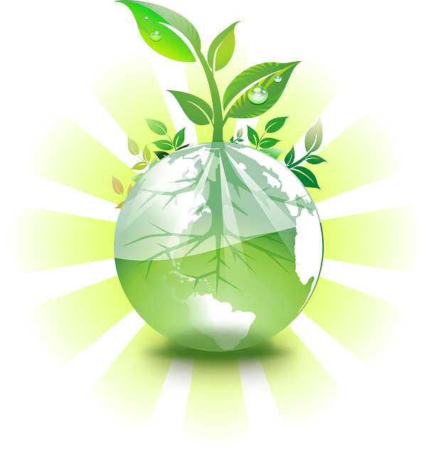 ecofriendly