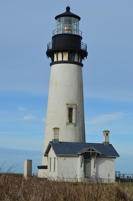 Oregon’s Child Support Enforcement: DHS Role, Legal Process & Parent Rights