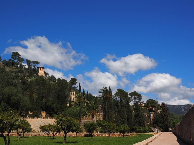 estate