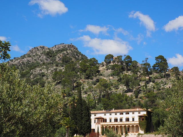estate