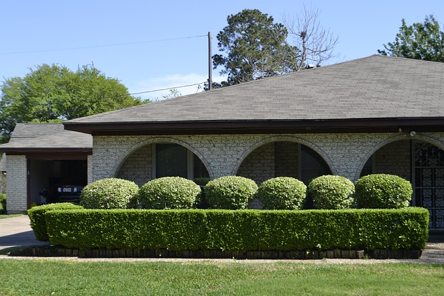 estate