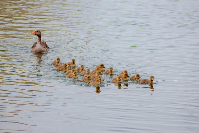 family-640x480-35946682.jpeg