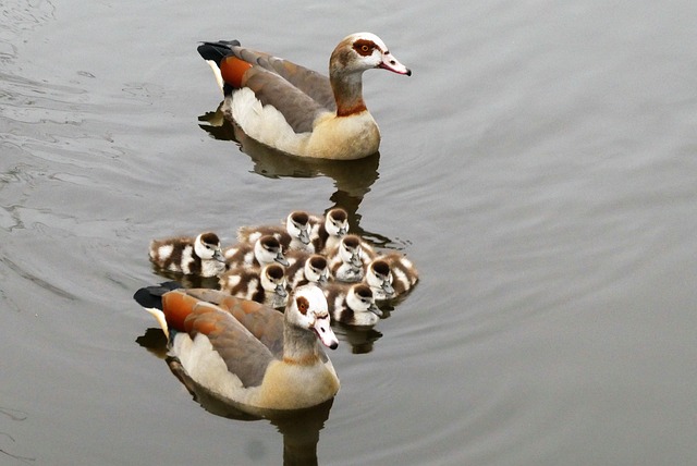 family-640x480-72950847.jpeg