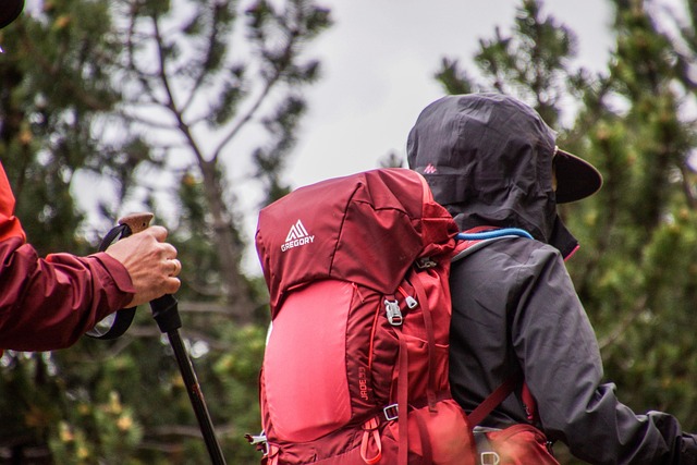 family-outdoors-nature-hiking-camping-bi-640x480-67925970.jpeg