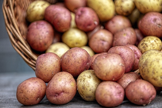 farmers-market-produce-vegetables-fresh-640x480-8975134.jpeg