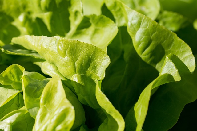 farmers-market-produce-vegetables-fresh-640x480-92759633.jpeg
