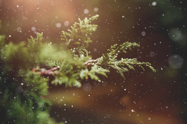 Eugene Winter Festivals: Top Beer Events & Planning Tips for a Memorable Experience
