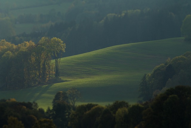 field