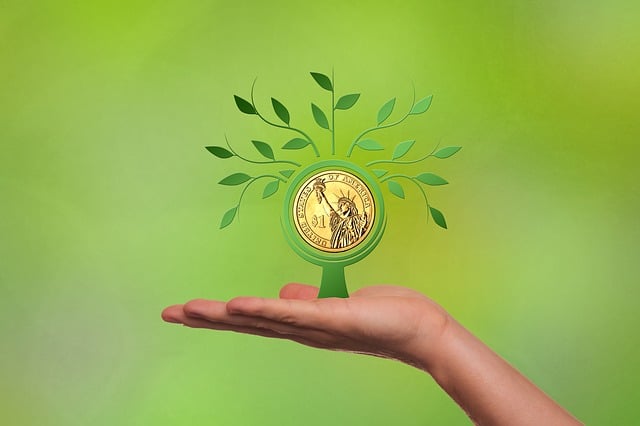 financing