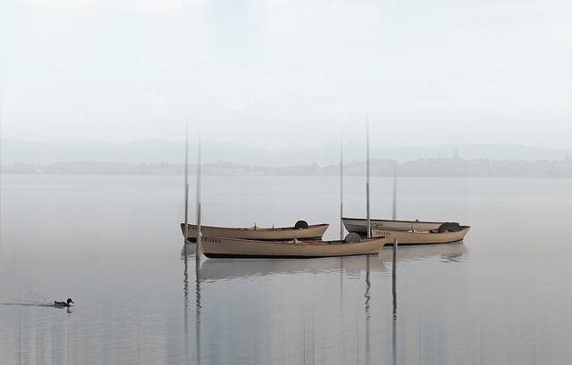 Fishing