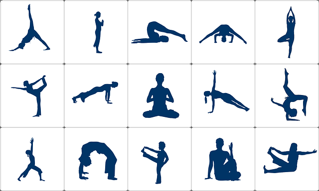flexibility