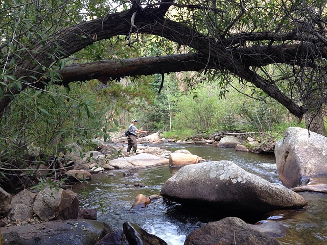 flyfishing
