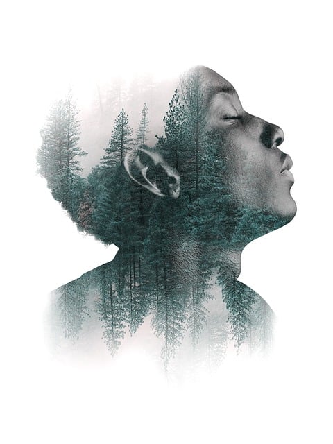 forests