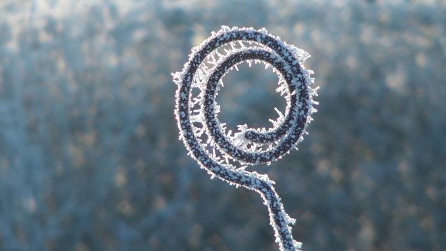 freeze