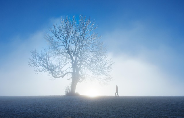 frost