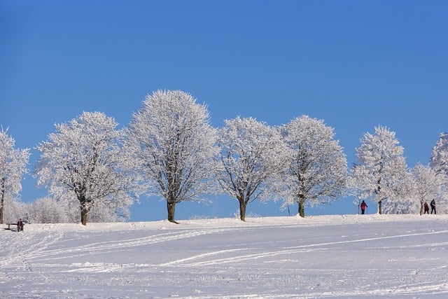 frost