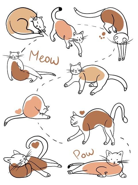 Fun