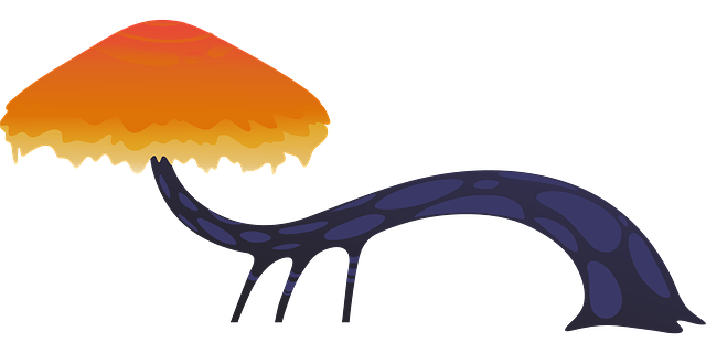 fungus-640x480-20671283.png