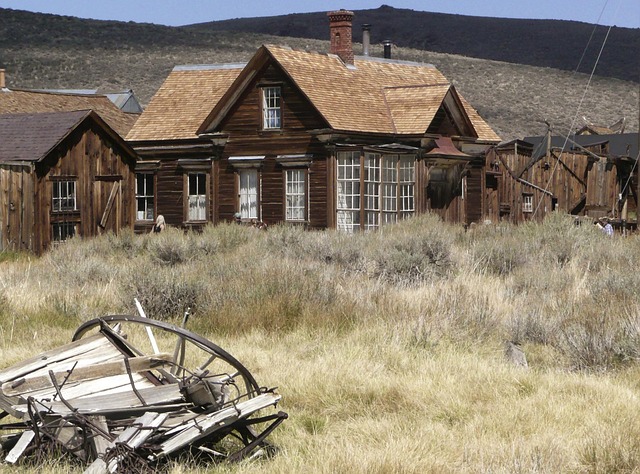 Oregon Gold Rush: Lane County’s Historical Economic Boom and Legacy