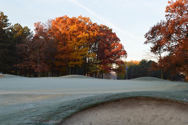 golf-course-green-fairway-clubs-outdoors-640x480-92024166.jpeg