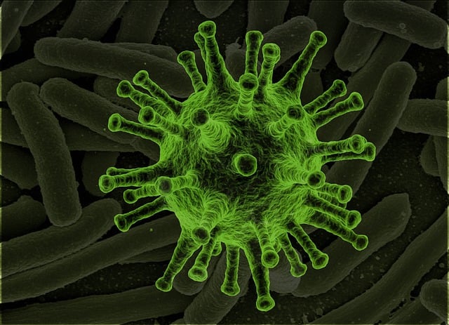 health-allergy-asthma-spores-sickness-re-640x480-3962686.jpeg