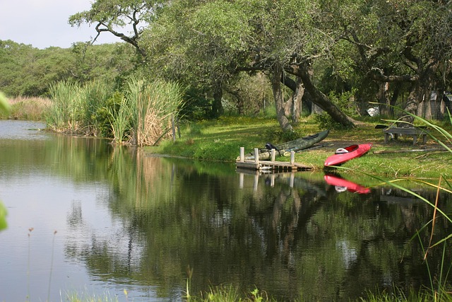 Explore Eugene Oregon’s Rivers: Tubing, Birdwatching & Outdoor Fun