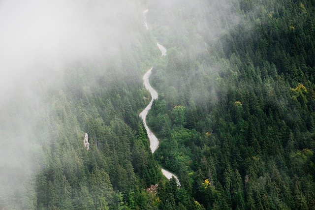 hiking-nature-trails-forest-mountains-ad-640x480-71830628.jpeg