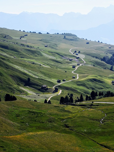 hiking-nature-trails-forest-mountains-ad-640x480-73222173.jpeg